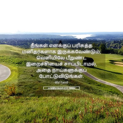 Picture 05 - யாத்திராகமம் 22:31 TAMIRV - நீங்கள் எனக்குப் - Bible Verse Picture