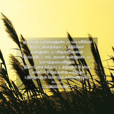 Picture 05 - யாத்திராகமம் 22:5 TAMIRV - “ஒருவன் - Bible Verse Picture