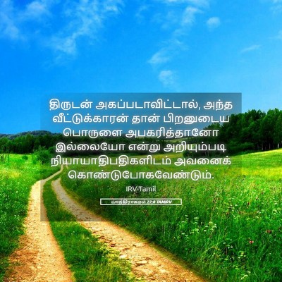 Picture 05 - யாத்திராகமம் 22:8 TAMIRV - திருடன் - Bible Verse Picture