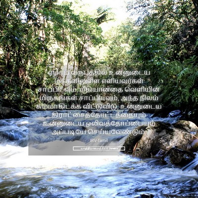 Picture 05 - யாத்திராகமம் 23:11 TAMIRV - ஏழாம் வருடத்தில் - Bible Verse Picture
