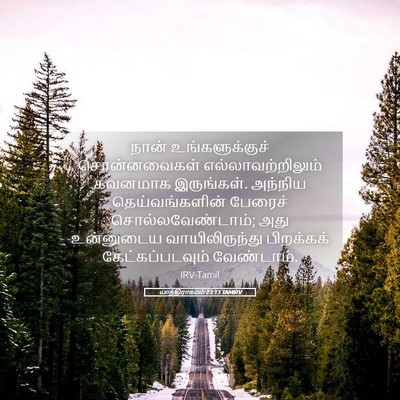 Picture 05 - யாத்திராகமம் 23:13 TAMIRV - நான் உங்களுக்குச் - Bible Verse Picture