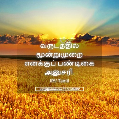 Picture 05 - யாத்திராகமம் 23:14 TAMIRV - வருடத்தில் - Bible Verse Picture