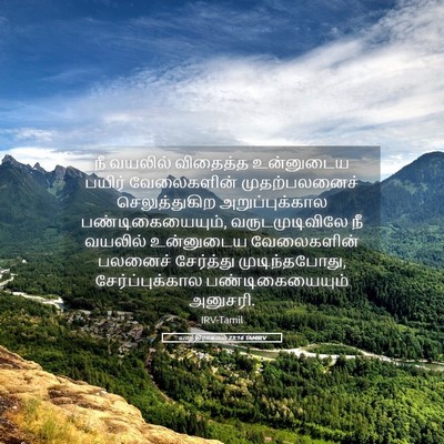 Picture 05 - யாத்திராகமம் 23:16 TAMIRV - நீ வயலில் விதைத்த - Bible Verse Picture