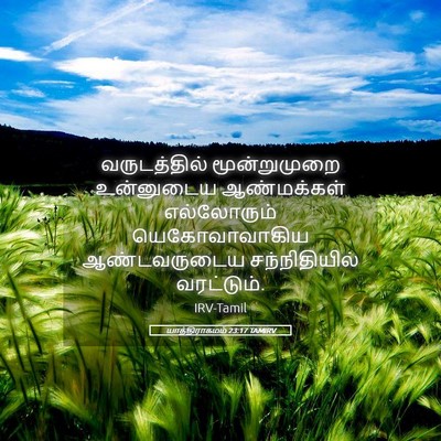 Picture 05 - யாத்திராகமம் 23:17 TAMIRV - வருடத்தில் - Bible Verse Picture