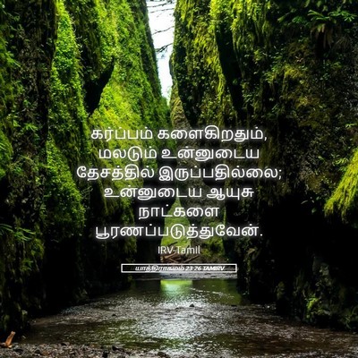 Picture 05 - யாத்திராகமம் 23:26 TAMIRV - கர்ப்பம் - Bible Verse Picture