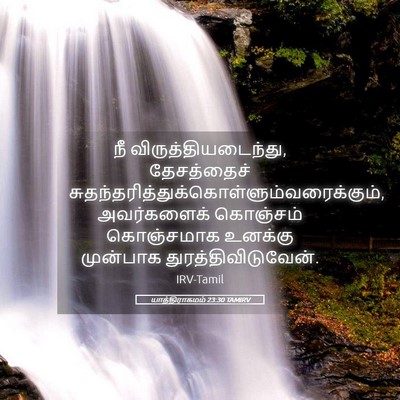 Picture 05 - யாத்திராகமம் 23:30 TAMIRV - நீ - Bible Verse Picture