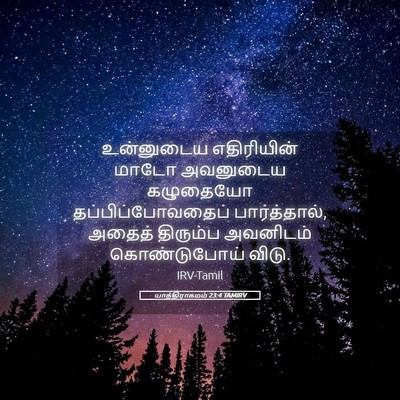 Picture 05 - யாத்திராகமம் 23:4 TAMIRV - உன்னுடைய - Bible Verse Picture