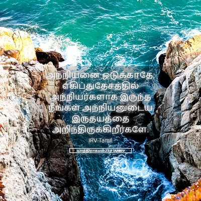 Picture 05 - யாத்திராகமம் 23:9 TAMIRV - அந்நியனை - Bible Verse Picture