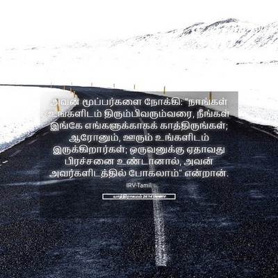 Picture 05 - யாத்திராகமம் 24:14 TAMIRV - அவன் மூப்பர்களை - Bible Verse Picture
