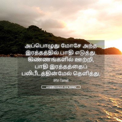 Picture 05 - யாத்திராகமம் 24:6 TAMIRV - அப்பொழுது மோசே - Bible Verse Picture