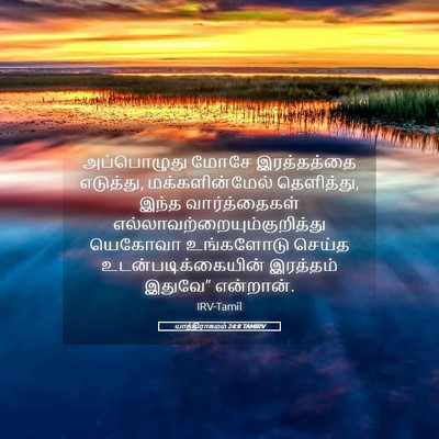 Picture 05 - யாத்திராகமம் 24:8 TAMIRV - அப்பொழுது மோசே - Bible Verse Picture