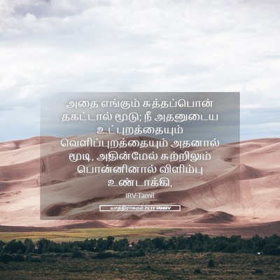 Picture 05 - யாத்திராகமம் 25:11 TAMIRV - அதை எங்கும் - Bible Verse Picture
