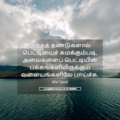 Picture 05 - யாத்திராகமம் 25:14 TAMIRV - அந்தத் தண்டுகளால் - Bible Verse Picture