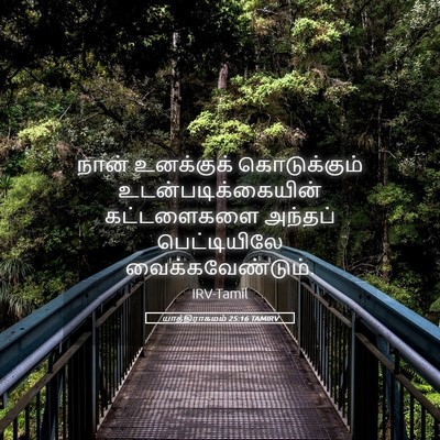 Picture 05 - யாத்திராகமம் 25:16 TAMIRV - நான் உனக்குக் - Bible Verse Picture