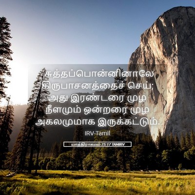 Picture 05 - யாத்திராகமம் 25:17 TAMIRV -  - Bible Verse Picture