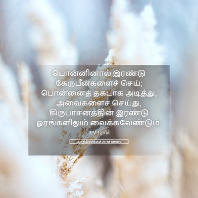 Picture 05 - யாத்திராகமம் 25:18 TAMIRV - பொன்னினால் இரண்டு - Bible Verse Picture