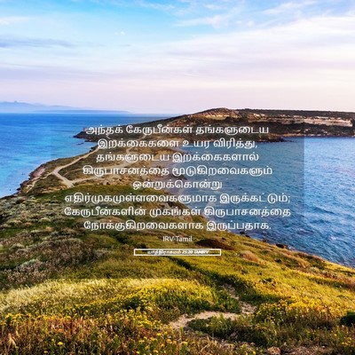 Picture 05 - யாத்திராகமம் 25:20 TAMIRV - அந்தக் - Bible Verse Picture