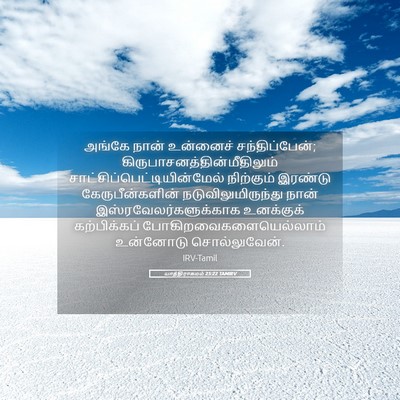 Picture 05 - யாத்திராகமம் 25:22 TAMIRV - அங்கே நான் - Bible Verse Picture