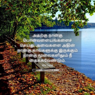 Picture 05 - யாத்திராகமம் 25:26 TAMIRV - அதற்கு நான்கு - Bible Verse Picture