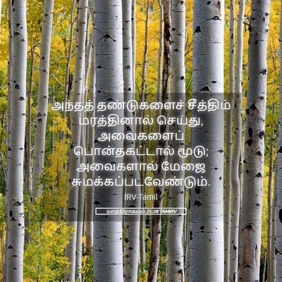 Picture 05 - யாத்திராகமம் 25:28 TAMIRV - அந்தத் தண்டுகளைச் - Bible Verse Picture
