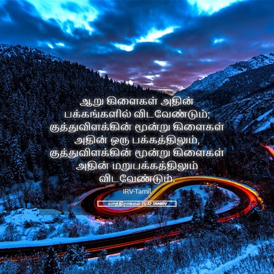 Picture 05 - யாத்திராகமம் 25:32 TAMIRV - ஆறு கிளைகள் அதின் - Bible Verse Picture