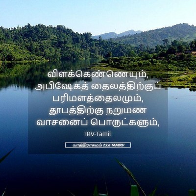 Picture 05 - யாத்திராகமம் 25:6 TAMIRV - விளக்கெண்ணெயும், - Bible Verse Picture