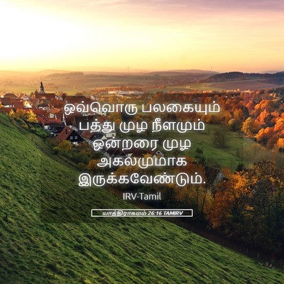 Picture 05 - யாத்திராகமம் 26:16 TAMIRV - ஒவ்வொரு பலகையும் - Bible Verse Picture