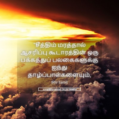 Picture 05 - யாத்திராகமம் 26:26 TAMIRV - “சீத்திம் - Bible Verse Picture