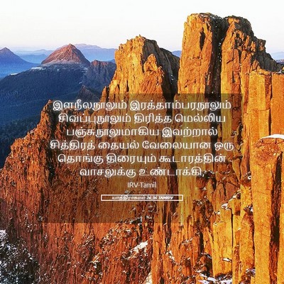 Picture 05 - யாத்திராகமம் 26:36 TAMIRV - இளநீலநூலும் - Bible Verse Picture