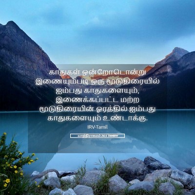 Picture 05 - யாத்திராகமம் 26:5 TAMIRV - காதுகள் - Bible Verse Picture