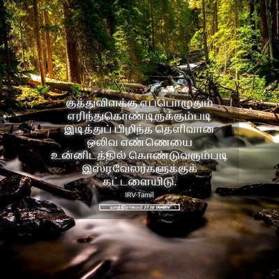 Picture 05 - யாத்திராகமம் 27:20 TAMIRV - குத்துவிளக்கு - Bible Verse Picture