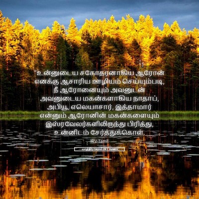 Picture 05 - யாத்திராகமம் 28:1 TAMIRV - “உன்னுடைய - Bible Verse Picture