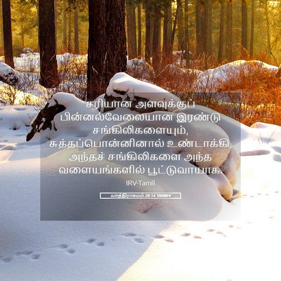 Picture 05 - யாத்திராகமம் 28:14 TAMIRV - சரியான அளவுக்குப் - Bible Verse Picture