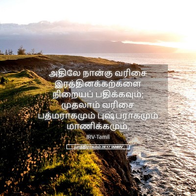 Picture 05 - யாத்திராகமம் 28:17 TAMIRV - அதிலே நான்கு - Bible Verse Picture