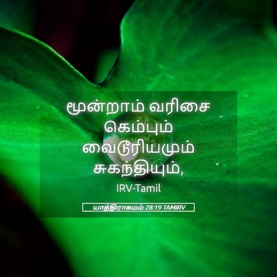 Picture 05 - யாத்திராகமம் 28:19 TAMIRV - மூன்றாம் வரிசை - Bible Verse Picture