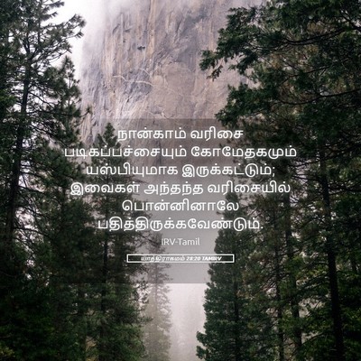 Picture 05 - யாத்திராகமம் 28:20 TAMIRV - நான்காம் வரிசை - Bible Verse Picture