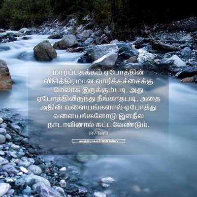 Picture 05 - யாத்திராகமம் 28:28 TAMIRV - மார்ப்பதக்கம் - Bible Verse Picture