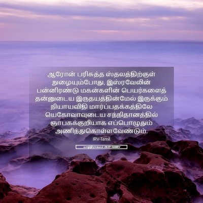 Picture 05 - யாத்திராகமம் 28:29 TAMIRV - ஆரோன் பரிசுத்த - Bible Verse Picture