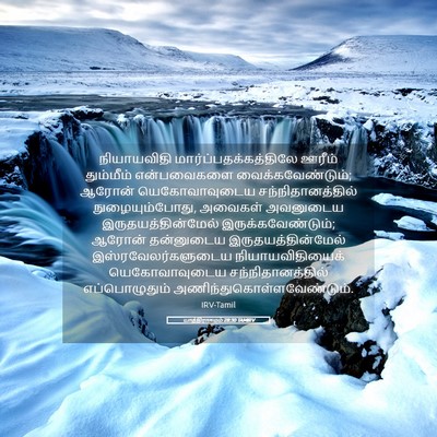 Picture 05 - யாத்திராகமம் 28:30 TAMIRV - நியாயவிதி - Bible Verse Picture