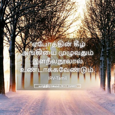 Picture 05 - யாத்திராகமம் 28:31 TAMIRV - “ஏபோத்தின் கீழ் - Bible Verse Picture
