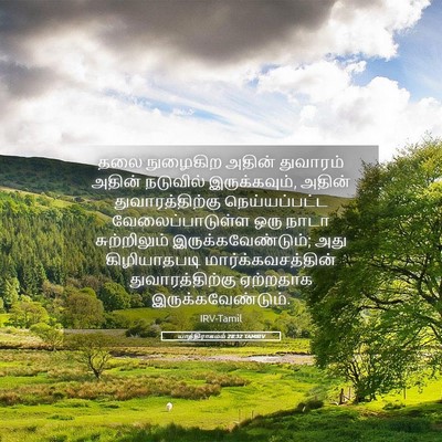 Picture 05 - யாத்திராகமம் 28:32 TAMIRV - தலை நுழைகிற அதின் - Bible Verse Picture