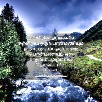 Picture 05 - யாத்திராகமம் 28:34 TAMIRV - அங்கியின் - Bible Verse Picture