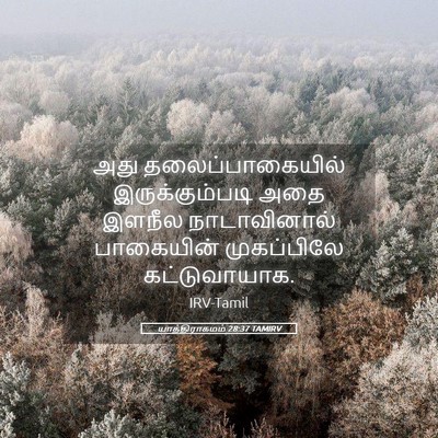 Picture 05 - யாத்திராகமம் 28:37 TAMIRV - அது தலைப்பாகையில் - Bible Verse Picture