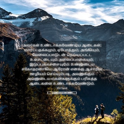 Picture 05 - யாத்திராகமம் 28:4 TAMIRV - அவர்கள் - Bible Verse Picture