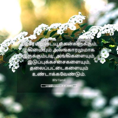 Picture 05 - யாத்திராகமம் 28:40 TAMIRV - “ஆரோனுடைய - Bible Verse Picture