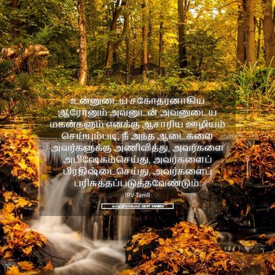 Picture 05 - யாத்திராகமம் 28:41 TAMIRV - உன்னுடைய - Bible Verse Picture