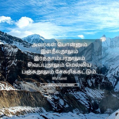 Picture 05 - யாத்திராகமம் 28:5 TAMIRV - அவர்கள் பொன்னும் - Bible Verse Picture