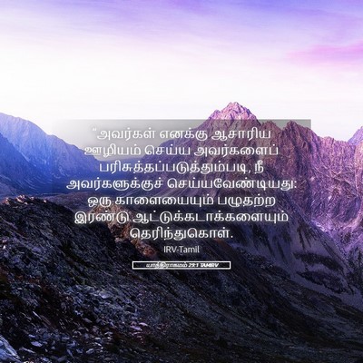 Picture 05 - யாத்திராகமம் 29:1 TAMIRV - “அவர்கள் எனக்கு - Bible Verse Picture