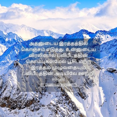 Picture 05 - யாத்திராகமம் 29:12 TAMIRV - அதனுடைய - Bible Verse Picture