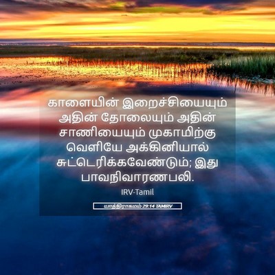 Picture 05 - யாத்திராகமம் 29:14 TAMIRV - காளையின் - Bible Verse Picture
